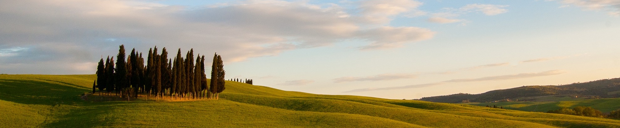Bike tour in Val d'Orcia