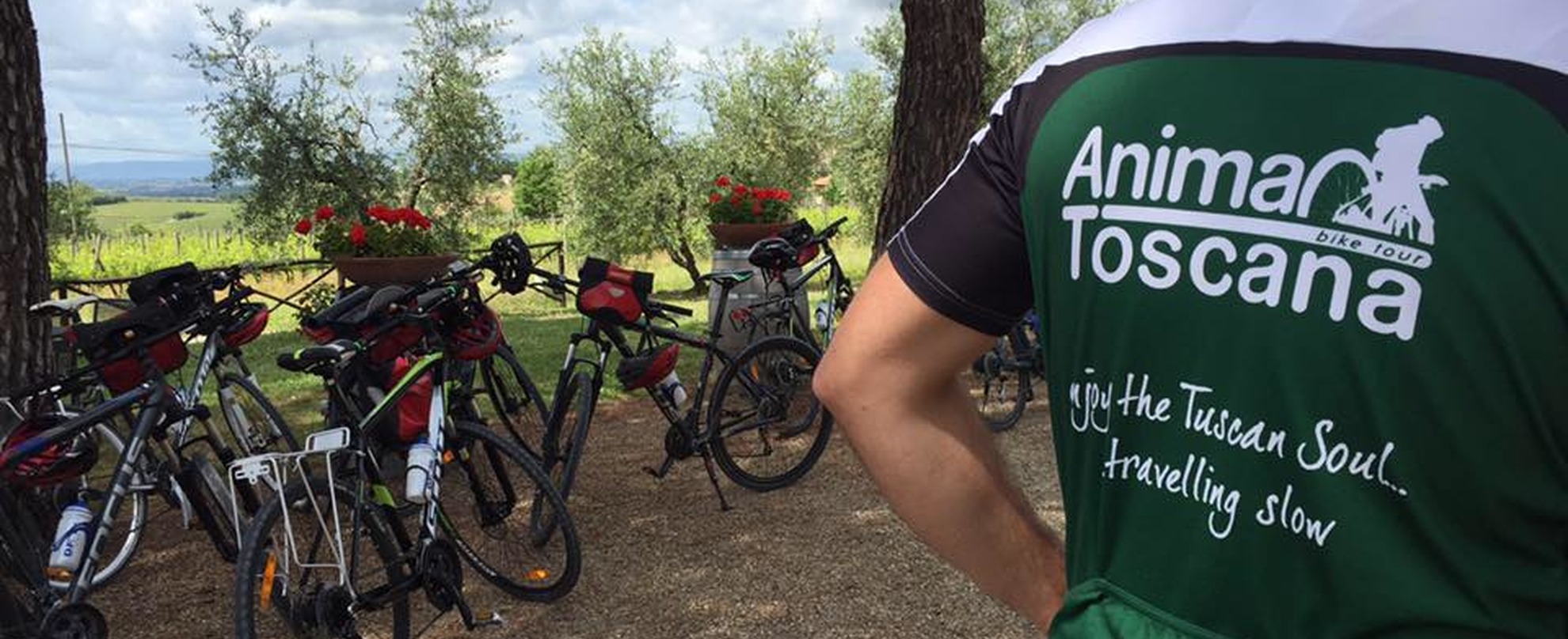 Tour in bici di Gruppo 2024