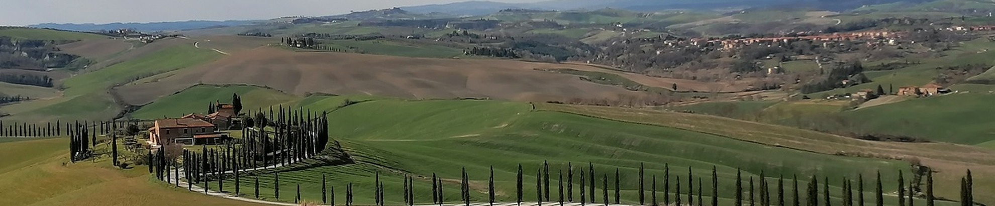 Bike tour nelle Crete Senesi