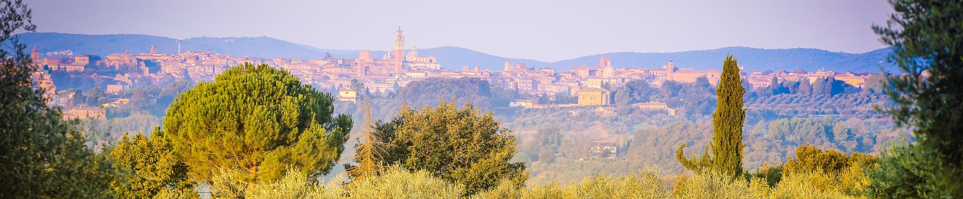 Tour in bici di gruppo da Siena