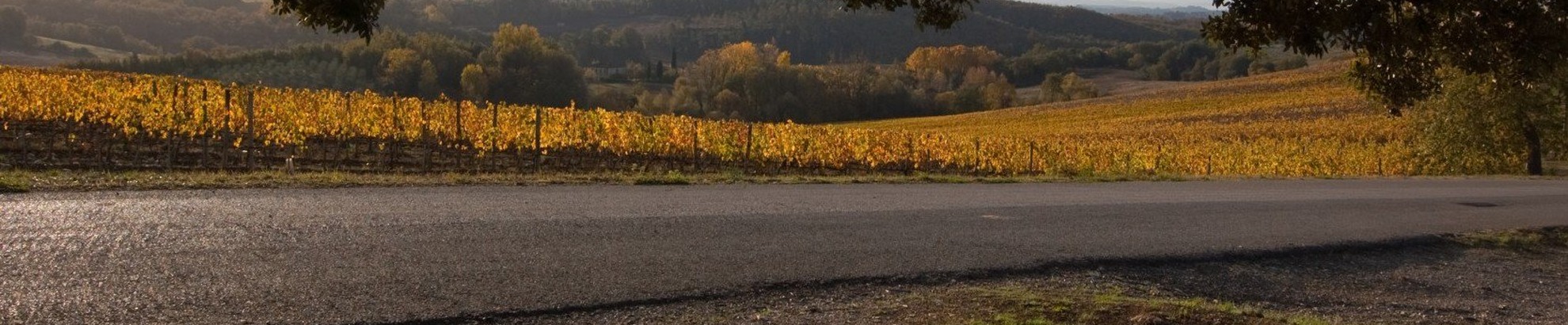 In bici nel Chianti Classico