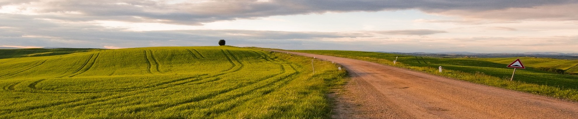 Strade Bianche Bike Tour