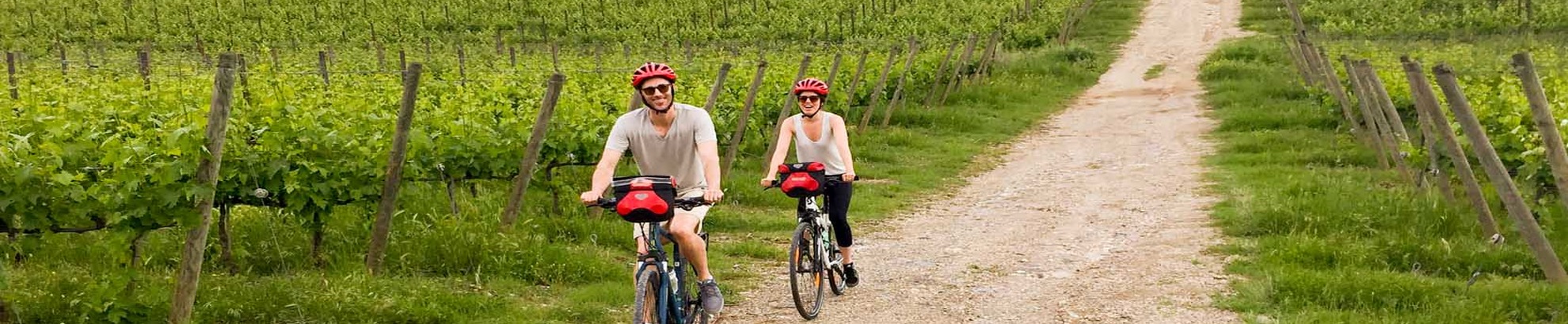 Wine e bike tours